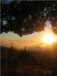 Zgharta-Edhen (Nord Liban) - cliquez pour agrandir Zgharta-Edhen (Nord Liban) - cliquez pour agrandir